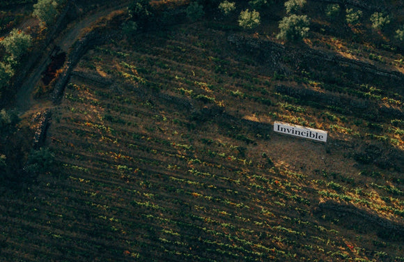 Companhia de Vinhos Invencível Tutored Tasting - Thursday 4th December 2025