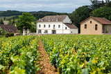 Bourgogne Rouge, Chateau de Garnerot 2019