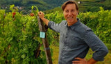 Pinot Blanc, Domaine Christophe Mittnacht 2022
