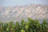 Côtes de Provence Rosé, Domaine Pinchinat 2021